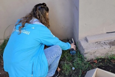 En Alberti colocan ovitrampas en una guerra total contra el dengue