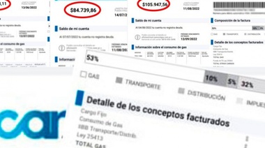 T. Lauquen: preocupa el aumento de las facturas de gas en el sector productivo