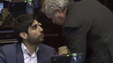 Solá, Arroyo, Moyano abandonan el bloque del massismo en el Congreso