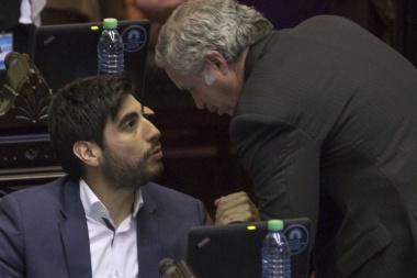 Solá, Arroyo, Moyano abandonan el bloque del massismo en el Congreso