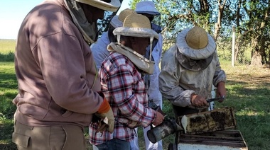 INTA desarrolló un curso para apicultores en General Arenales