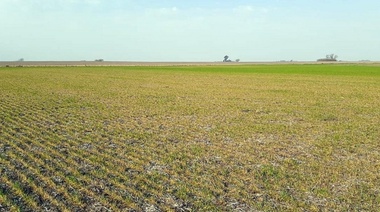 Advierten sobre el regreso de “La Niña” y sequía para otoño