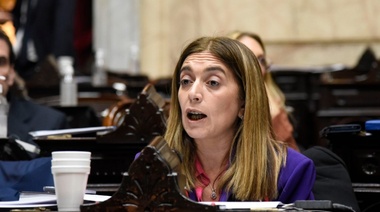 DNU: Tavela reclamó extraordinarias en el Congreso y apuntó a Milei