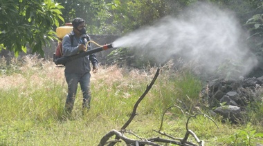 Control del dengue, tema central del Consejo Regional de Salud