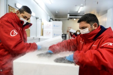 Distribuyen dosis de Sputnik V para mayores de 70 en el país y a PBA llegan casi 155 mil