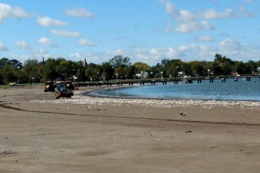 Nueva mortandad de peces en las lagunas de Junín