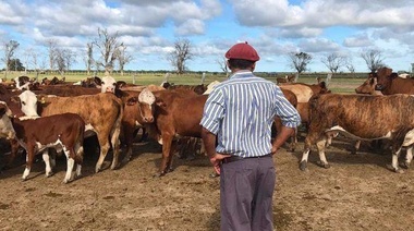 El RENATRE aumentó a $85.000 la prestación por desempleo para trabajadores rurales