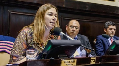 Zuccari celebró la detención de Fernández, pero lamentó el tiempo perdido