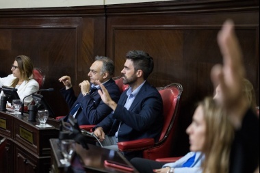 Tras el escándalo de Verbitsky, Fiorini reclamó "transparencia" en la campaña de vacunación