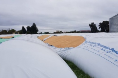 Vandalismo rural: Tajearon cuatro silobolsas con cereal en Bolívar