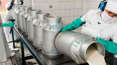 El consumo de leche, carne vacuna y yerba mate tuvieron picos negativos históricos en Argentina