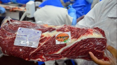 Senadores de JxC repudiaron el cierre a las exportaciones de carne