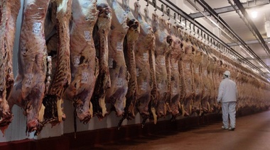 Exportaciones de carne vacuna cerrarán 2023 con merma de 28% interanual
