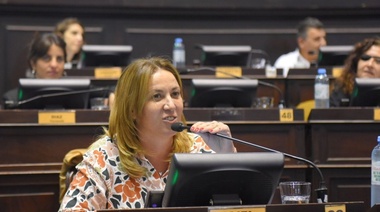 Arata dijo que es un "falso debate" hablar sobre recortes en educación