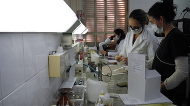El HIGA Junín procesará las muestras de sangre que se extraigan en los CAPS