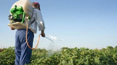 El Ejecutivo de 9 de Julio promulgó ordenanza sobre fitosanitarios