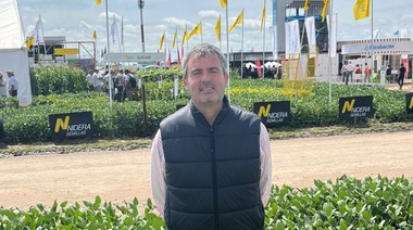 "Era evidente que intervenir el mercado de la carne no iba a bajar precios, ya pasó antes"