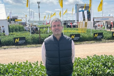 "Era evidente que intervenir el mercado de la carne no iba a bajar precios, ya pasó antes"