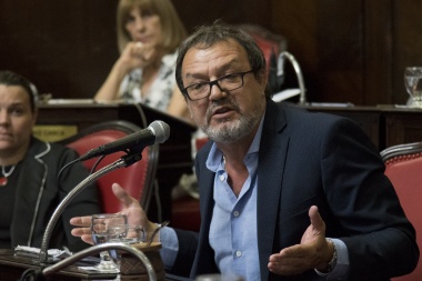Para Costa, "el planteo del intendente de Ensenada es antidemocrático”