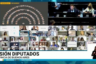Se aprobó en la Provincia una Ley que regula al terapista ocupacional