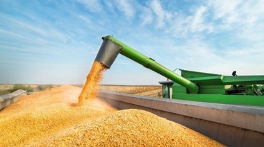 El agro marcó un récord en las exportaciones de cereales y oleaginosas