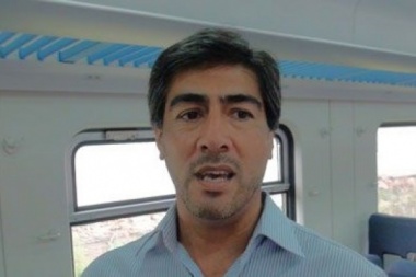 Farías opinió que la economía "decide el voto de la gente" y genera "la grieta"