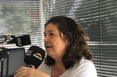 Gianini se metió en la discusión por la coparticipación y respaldó la quita de fondos a Capital Federal