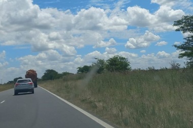 "Estamos viendo un nivel de abandono extremo y peligroso", dijo Gentile