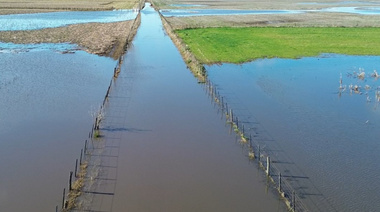 Exceso hídrico afecta casi la mitad de las tierras en Carlos Casares y 9 de Julio