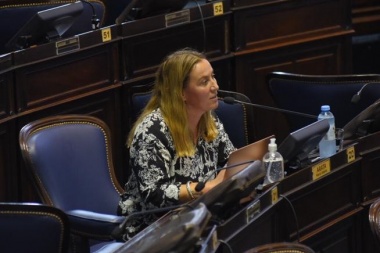 Arata resaltó la moratoria impositiva: “Votar este proyecto es un alivio”