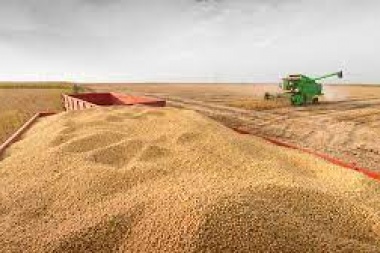 Si no llueve en los próximos días podría peligrar la cosecha de soja