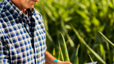 ¿Cómo cierra el año el productor agropecuario?