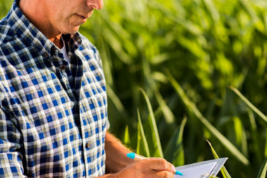 ¿Cómo cierra el año el productor agropecuario?