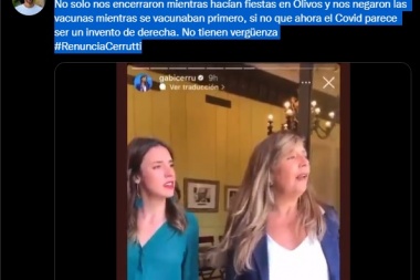 #RenunciaCerrutti: Petrecca sumó repudio a la vocera presidencial