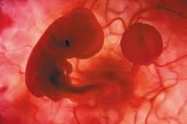 Encuesta afirma que el 51 por ciento de los juninenses está a favor del aborto legal