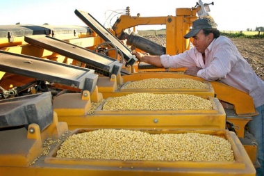 Destacan la cadena triguera en la Provincia que genera más de 140 mil empleos