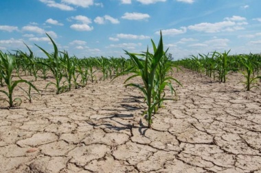 Provincia declaró la emergencia agropecuaria en dos distritos del sudoeste