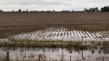 Reiteran convocatoria a productores para acceder a la emergencia agropecuaria