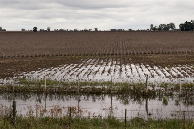 Reiteran convocatoria a productores para acceder a la emergencia agropecuaria