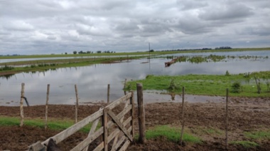 Convocan a productores de 9 de Julio a adherir a la Emergencia Agropecuaria
