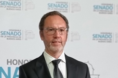 "La Ley Bases implica un cambio en la dirección equivocada”, dijo Torchio