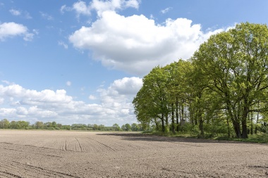 Tres municipios de la cuarta en emergencia agropecuaria por sequía