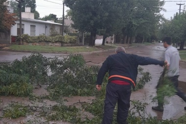 Voladura de techos en Chacabuco y árboles caídos en Junín, consecuencias de la tormenta