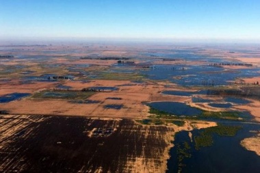 Provincia declaró desastre agropecuario para T. Lauquen y Villegas