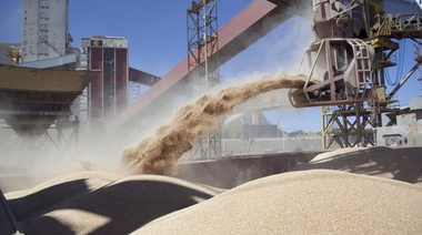 Alivio fiscal: el Congreso debatirá una Ley para potenciar la agroindustria