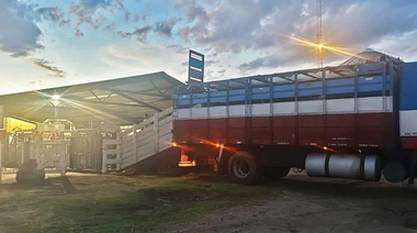 Ameghino reduce un 50% la tasa de guías para el transporte de ganado