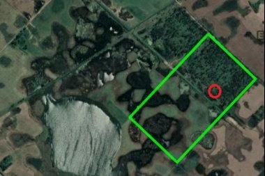 Evalúan los terrenos donde se construirá el nuevo Relleno Sanitario de 9 de Julio