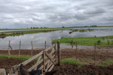 Convocan a productores de 9 de Julio a adherir a la Emergencia Agropecuaria