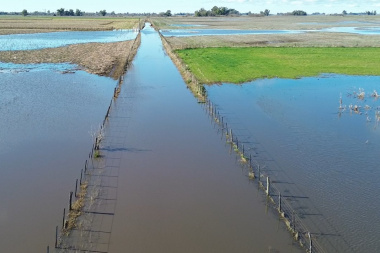 Exceso hídrico afecta casi la mitad de las tierras en Carlos Casares y 9 de Julio