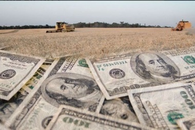 El Gobierno descarta la posibilidad de un nuevo dólar soja